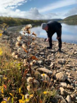 UHKUA - SUSTAINABLE NATURE EXPERIENCES AND NATURE ACCOMODATION IN LAKE SAIMAA