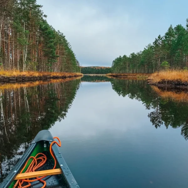 Uhkua Saimaa