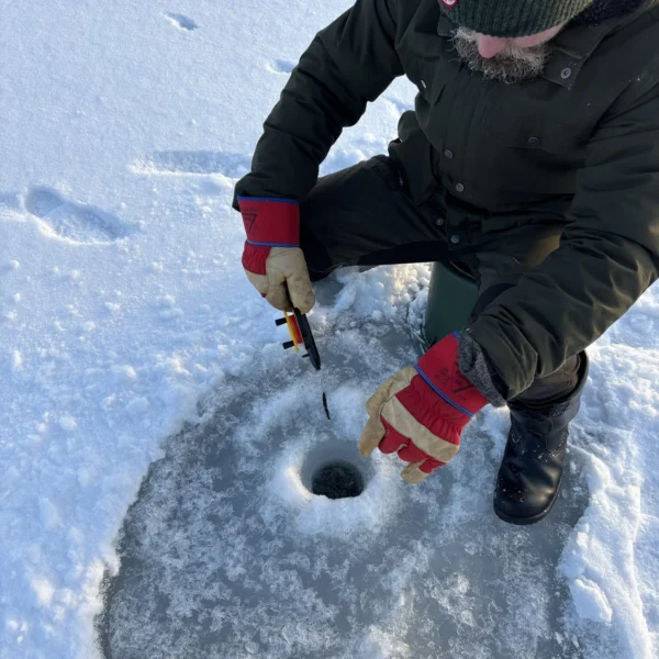 Uhkua talvikalastus