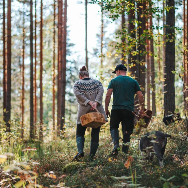 Uhkua Saimaa sieniretki