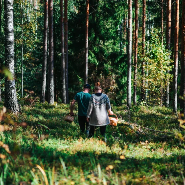 Uhkua Saimaa